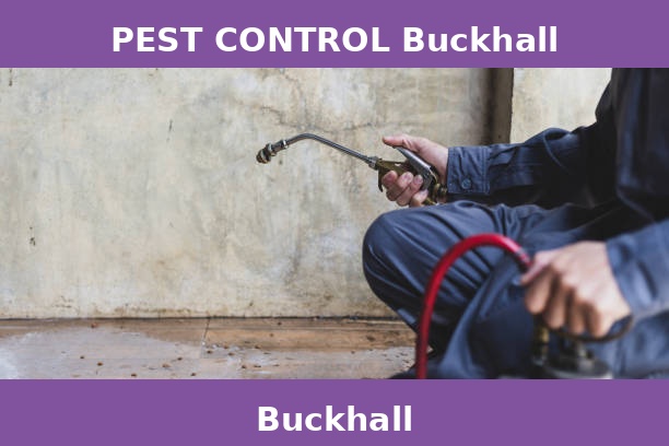 PEST CONTROL Buckhall